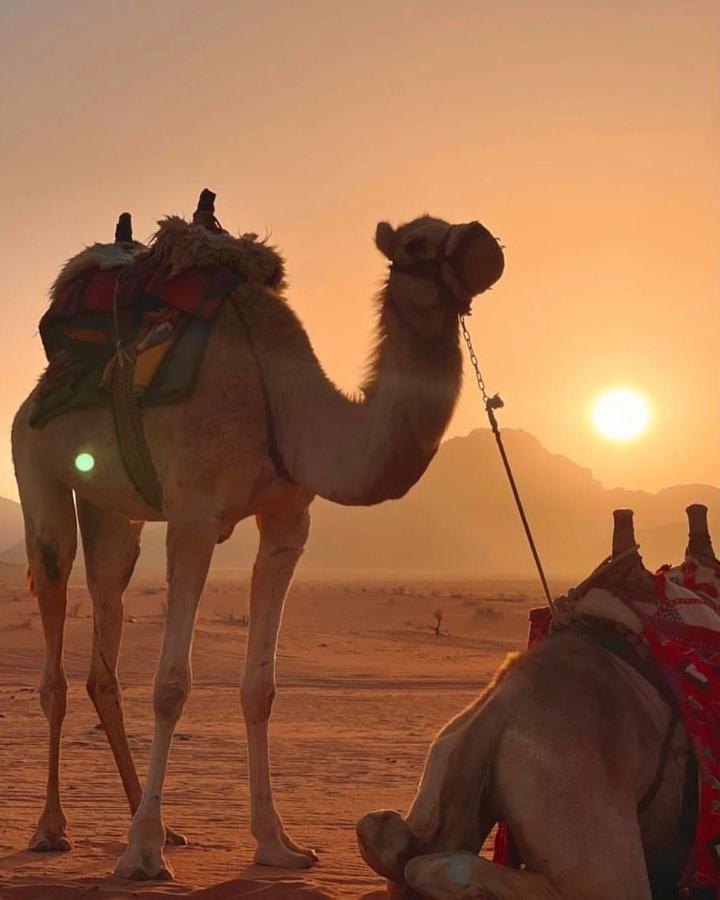 Rum Desert Princess Camp Wadi Rum Ngoại thất bức ảnh